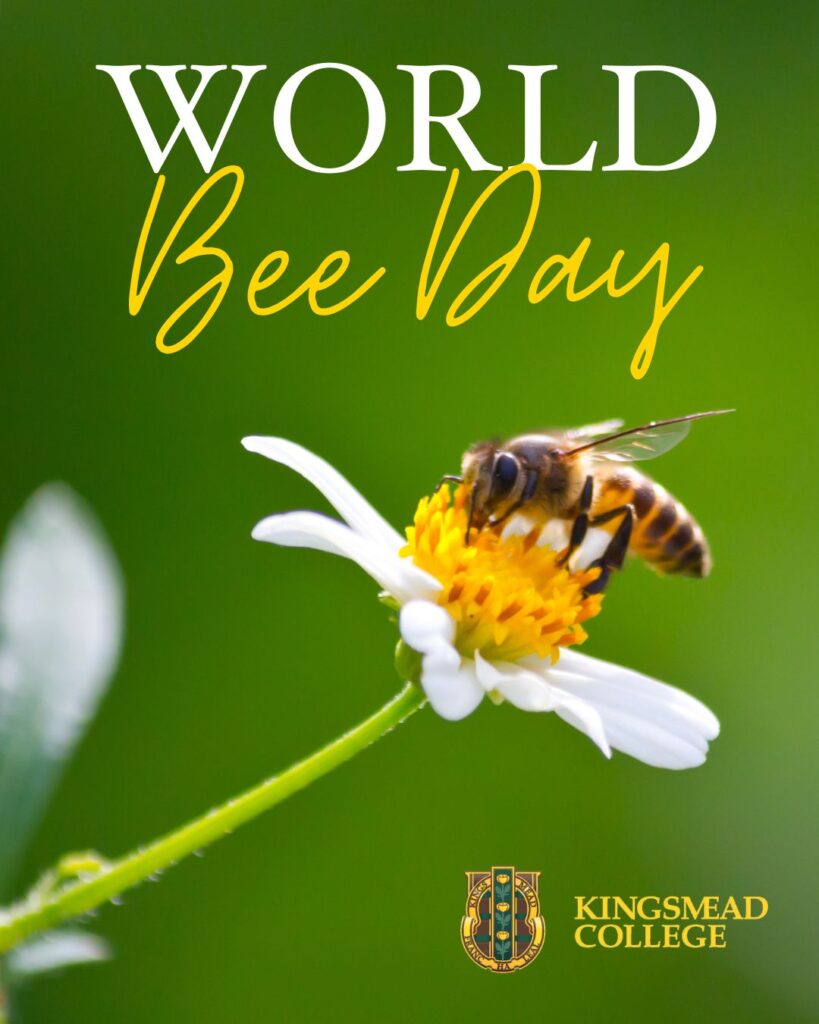 World bee day Kingsmead World bee day Kingsmead